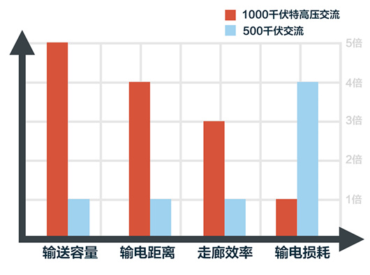 �µ�����(�й�)���޹�˾����