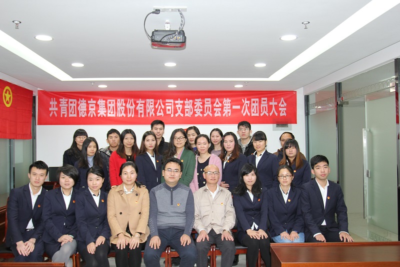 �µ�����(�й�)���޹�˾����