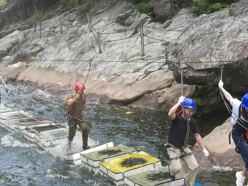 �µ�����(�й�)���޹�˾����