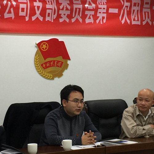 �µ�����(�й�)���޹�˾����