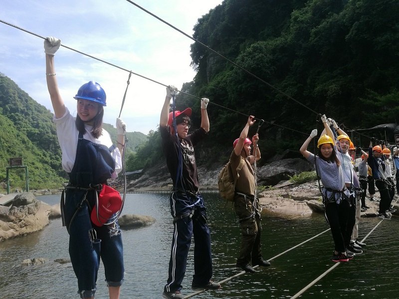 �µ�����(�й�)���޹�˾����