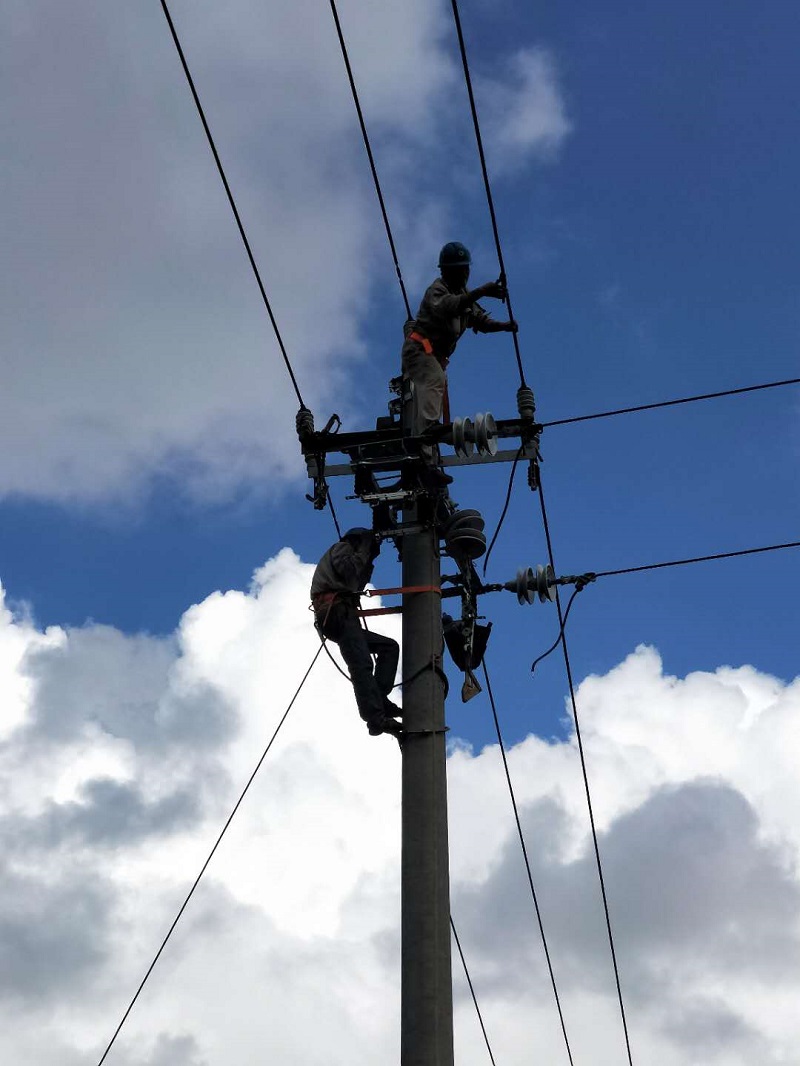 新得利·(中国)有限公司官网