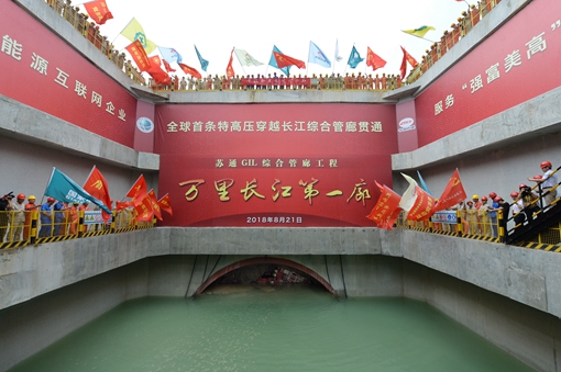 �µ�����(�й�)���޹�˾����