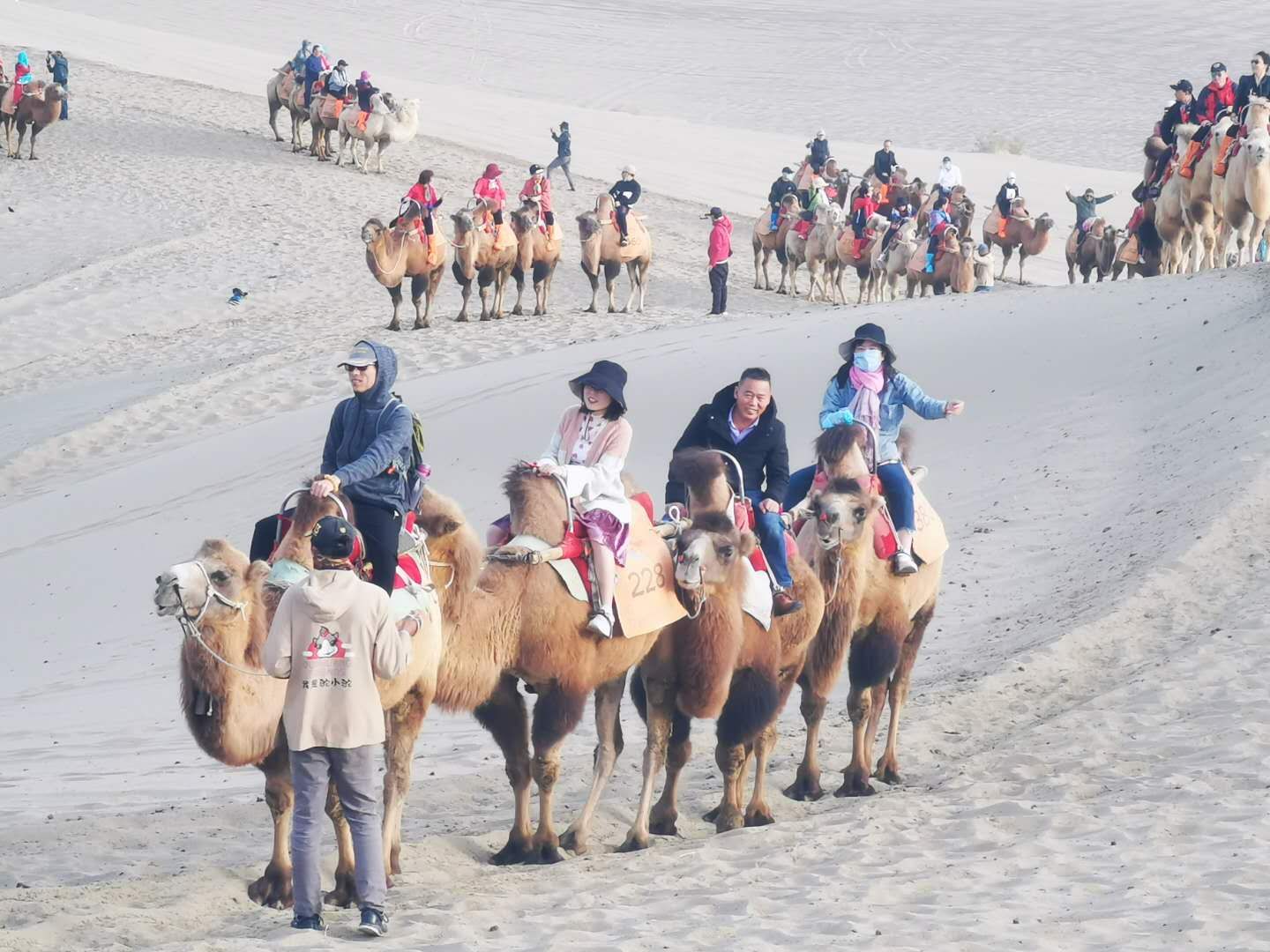 �µ�����(�й�)���޹�˾����