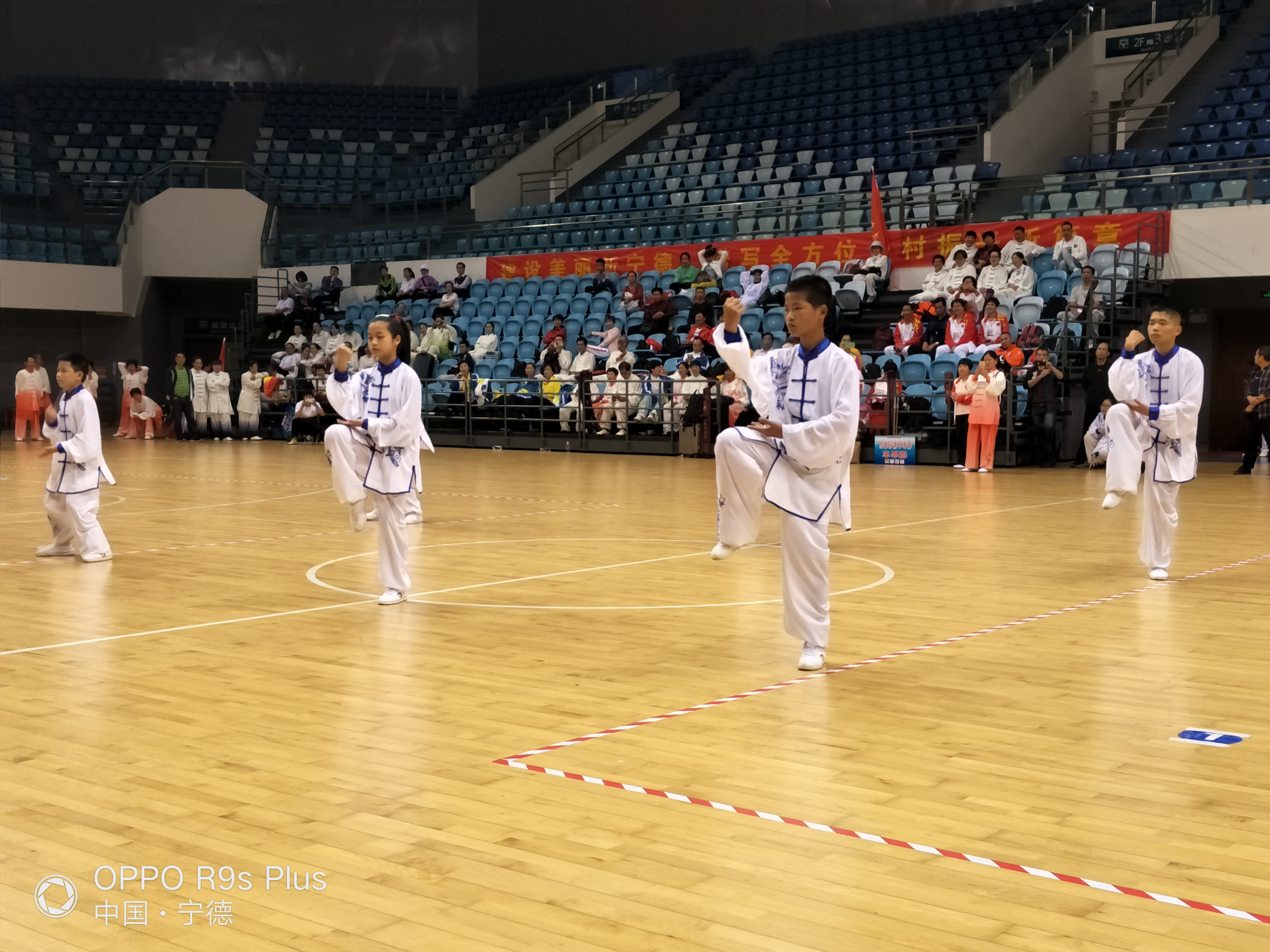 �µ�����(�й�)���޹�˾����