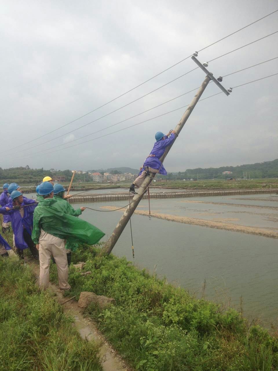 �µ�����(�й�)���޹�˾����