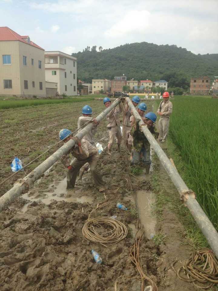 �µ�����(�й�)���޹�˾����