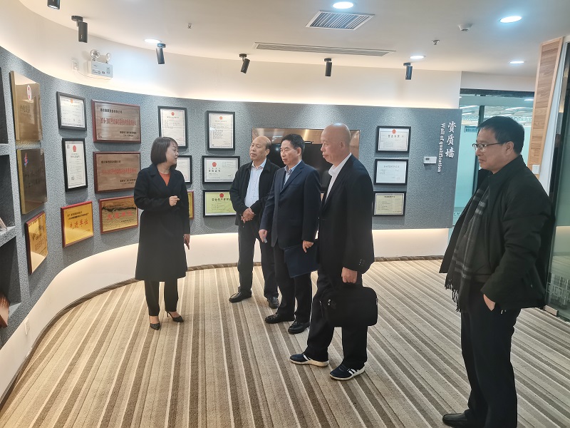 �µ�����(�й�)���޹�˾����