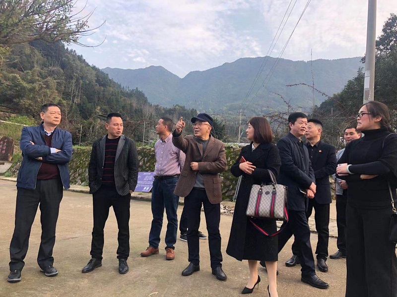 �µ�����(�й�)���޹�˾����