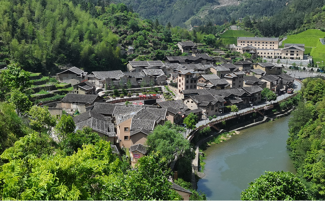 �µ�����(�й�)���޹�˾����