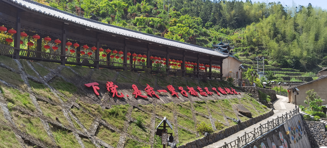 �µ�����(�й�)���޹�˾����