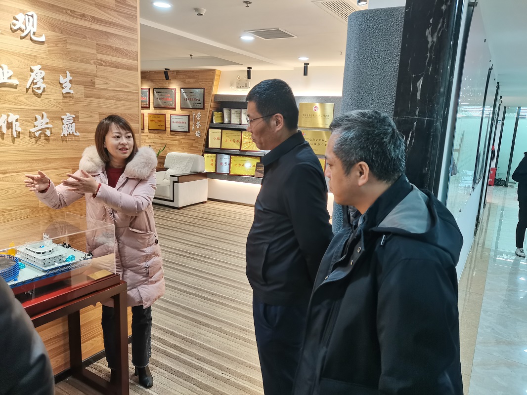 �µ�����(�й�)���޹�˾����