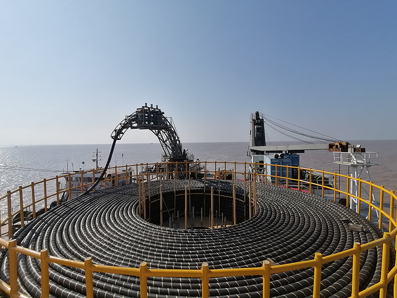 �µ�����(�й�)���޹�˾����