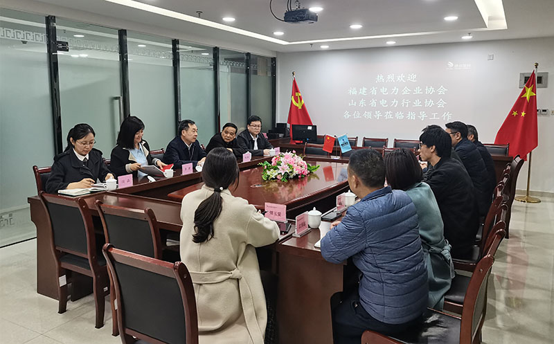 �µ�����(�й�)���޹�˾����