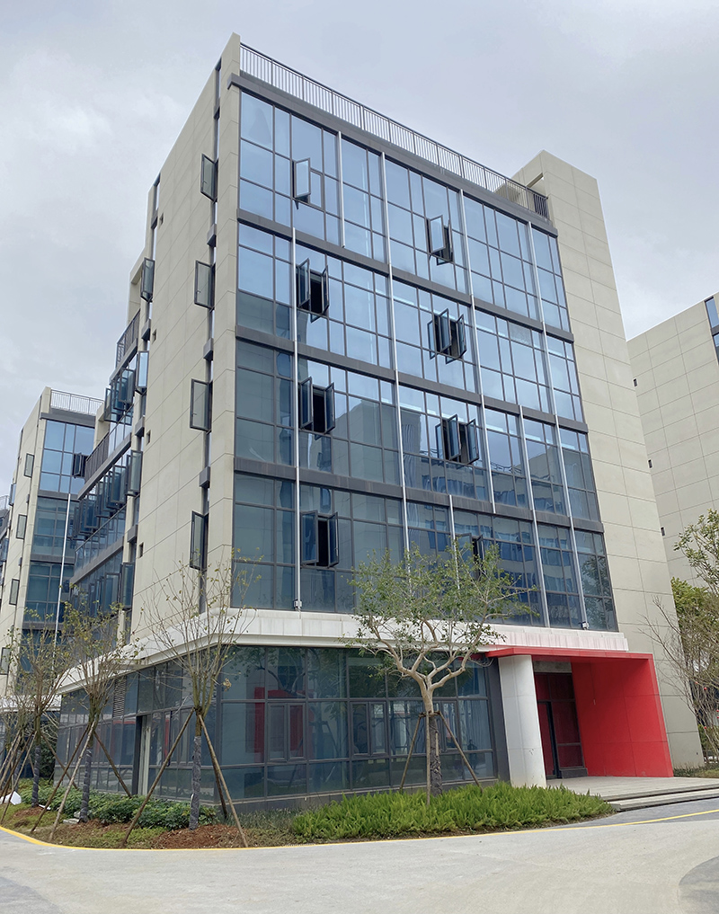 �µ�����(�й�)���޹�˾����