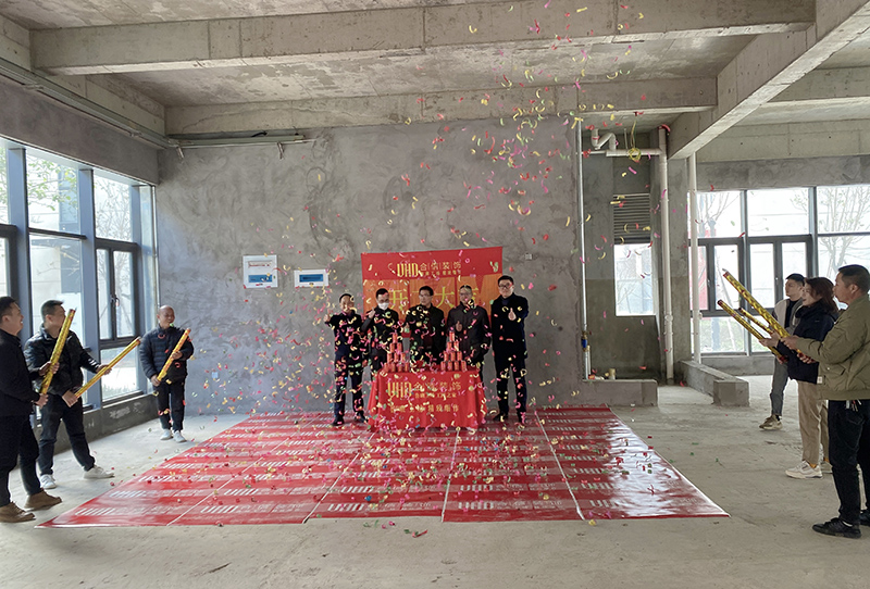 �µ�����(�й�)���޹�˾����