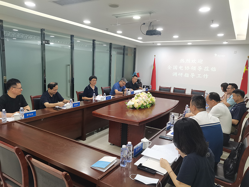 �µ�����(�й�)���޹�˾����