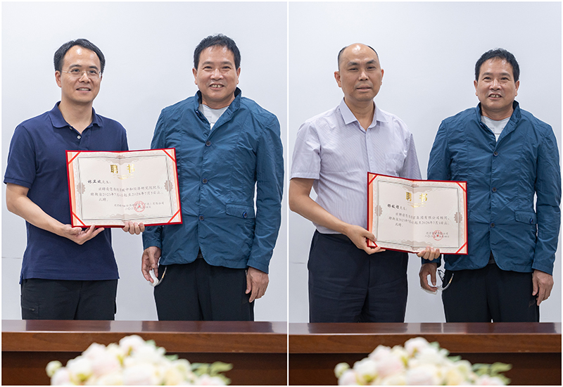 �µ�����(�й�)���޹�˾����