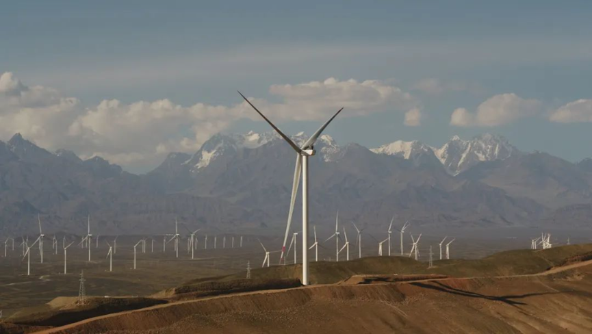 �µ�����(�й�)���޹�˾����