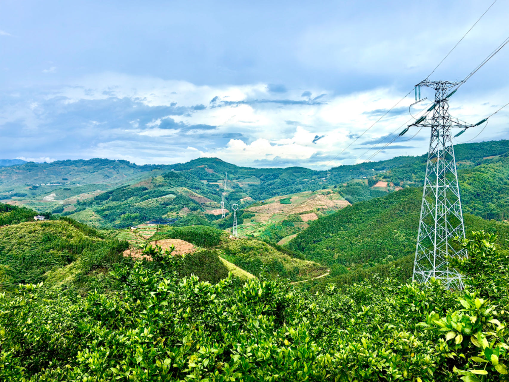 �µ�����(�й�)���޹�˾����