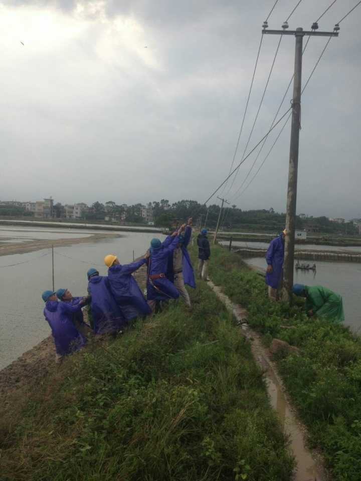 �µ�����(�й�)���޹�˾����