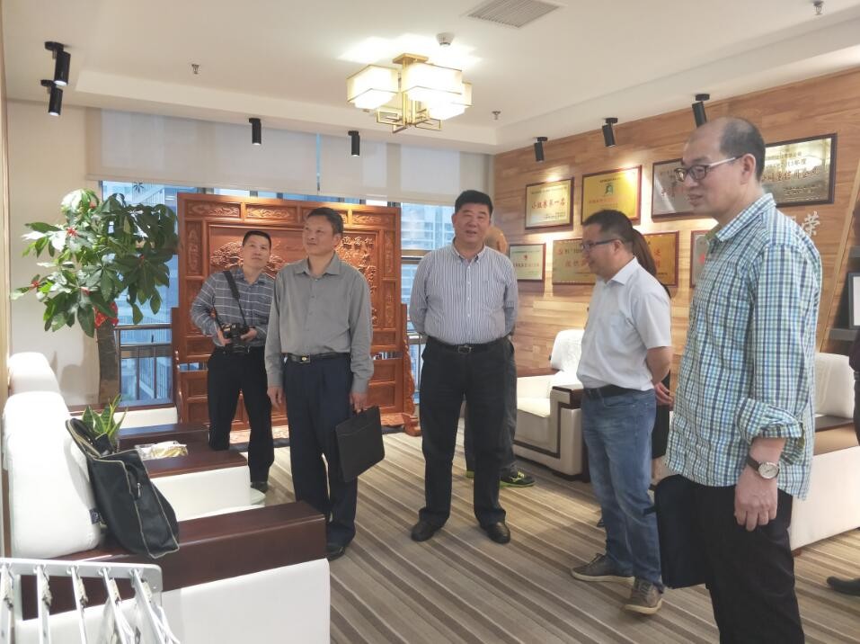 �µ�����(�й�)���޹�˾����