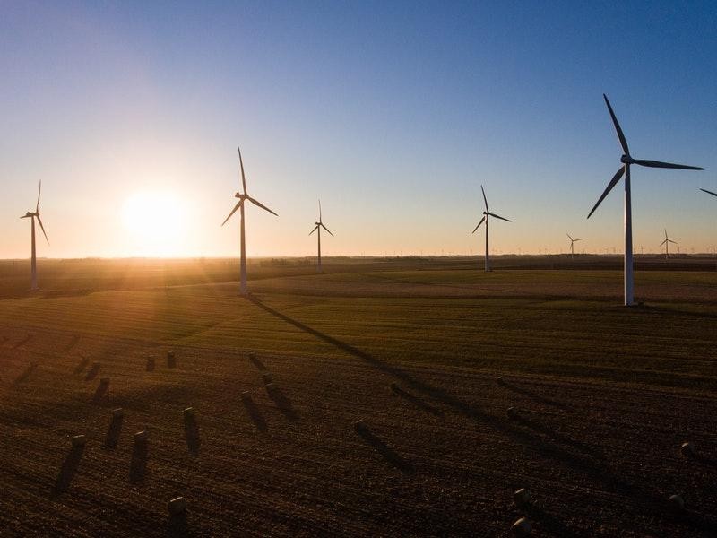 �µ�����(�й�)���޹�˾����