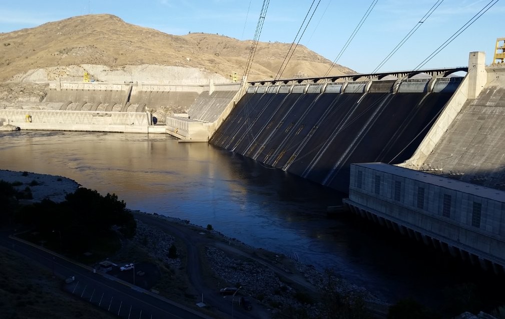 �µ�����(�й�)���޹�˾����