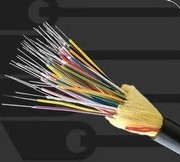 �µ�����(�й�)���޹�˾����