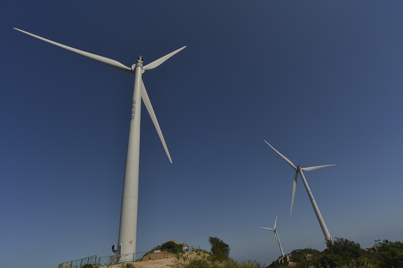 �µ�����(�й�)���޹�˾����