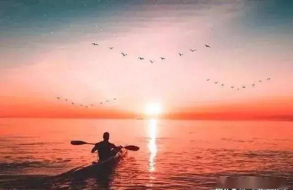 �µ�����(�й�)���޹�˾����