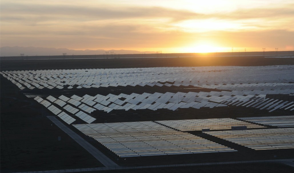 �µ�����(�й�)���޹�˾����