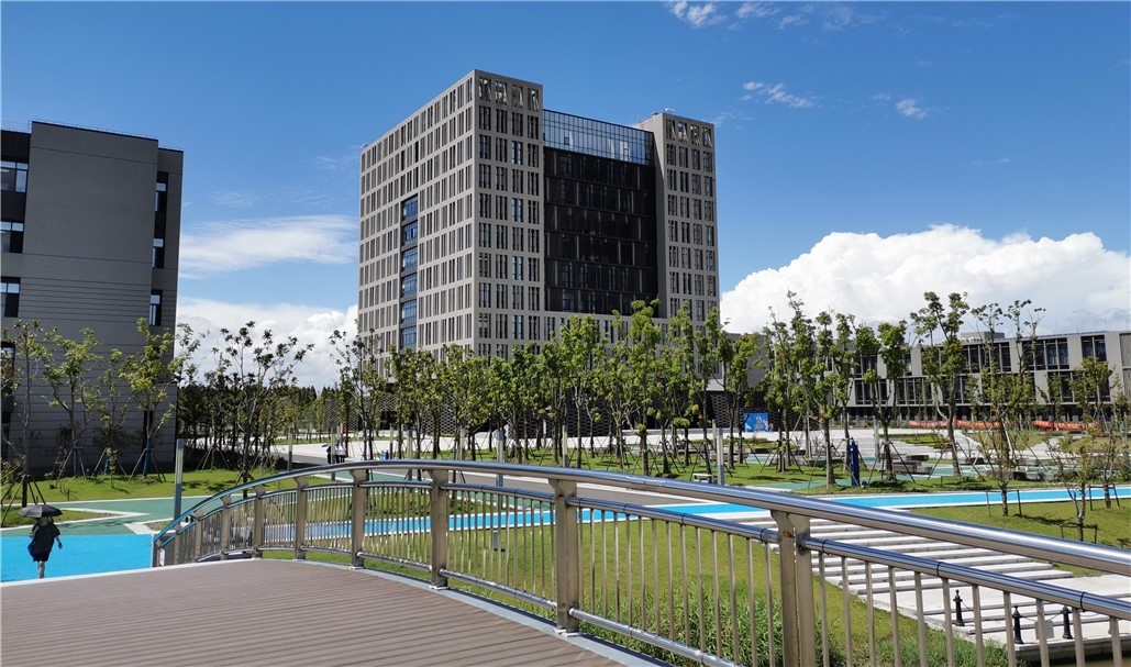 �µ�����(�й�)���޹�˾����