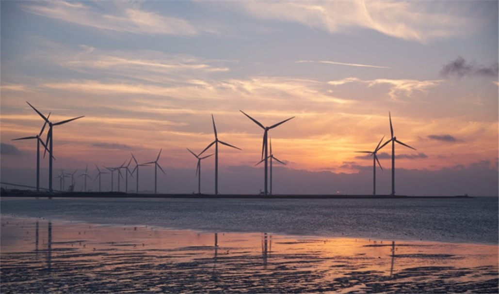 �µ�����(�й�)���޹�˾����