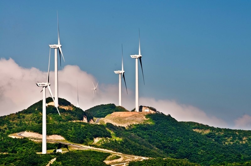 �µ�����(�й�)���޹�˾����