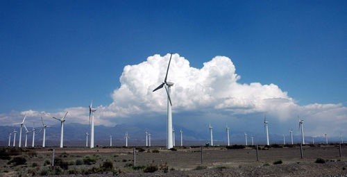 �µ�����(�й�)���޹�˾����