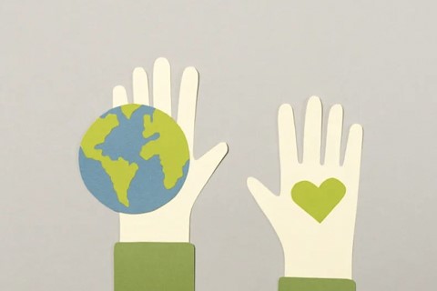 �µ�����(�й�)���޹�˾����