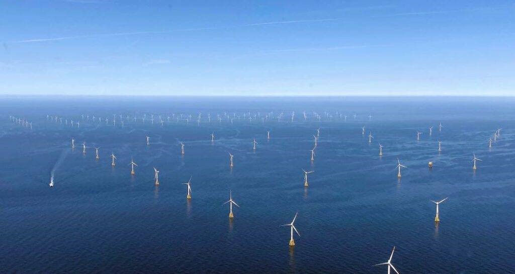 �µ�����(�й�)���޹�˾����