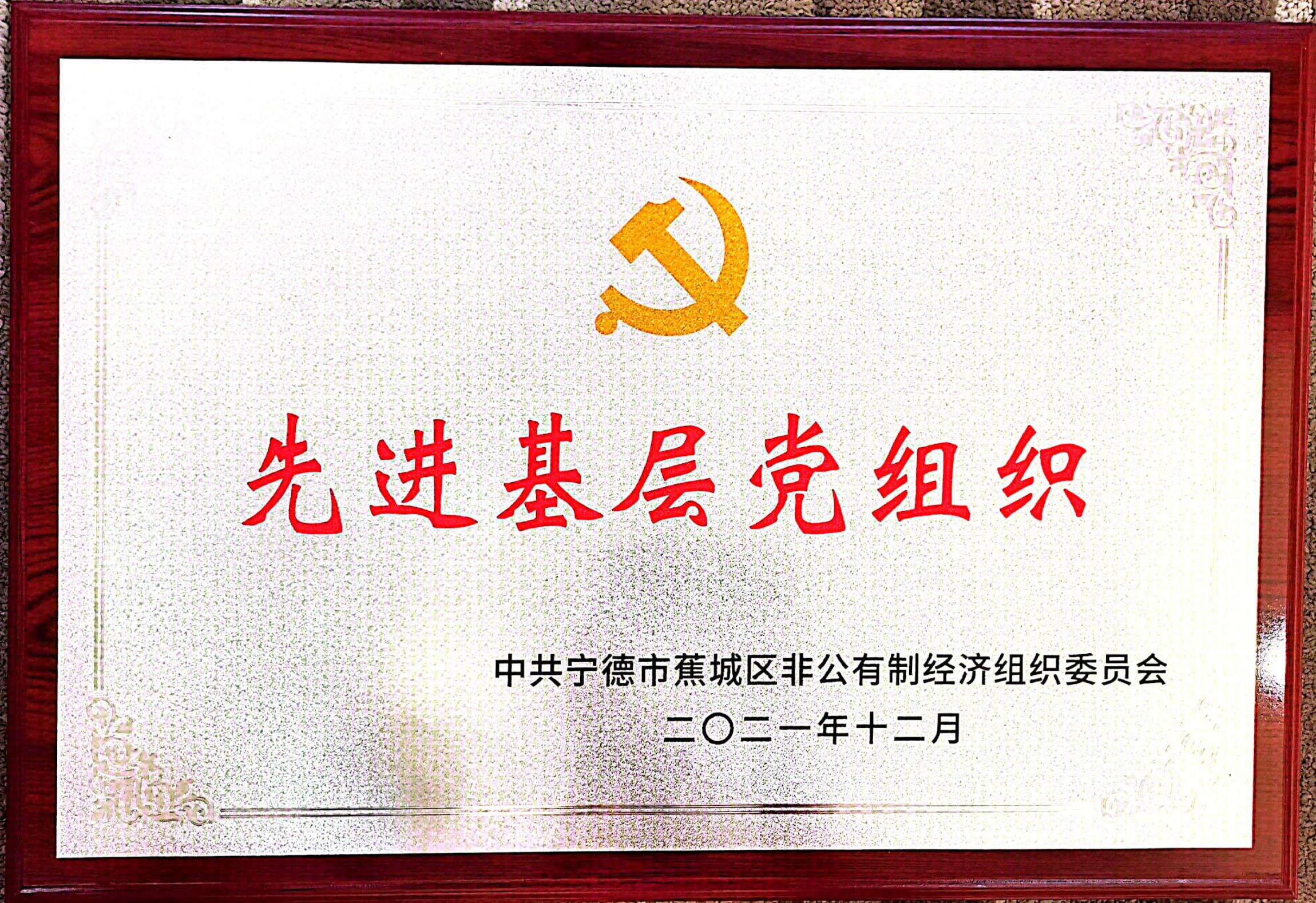 �µ�����(�й�)���޹�˾����