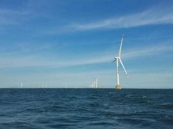 �µ�����(�й�)���޹�˾����