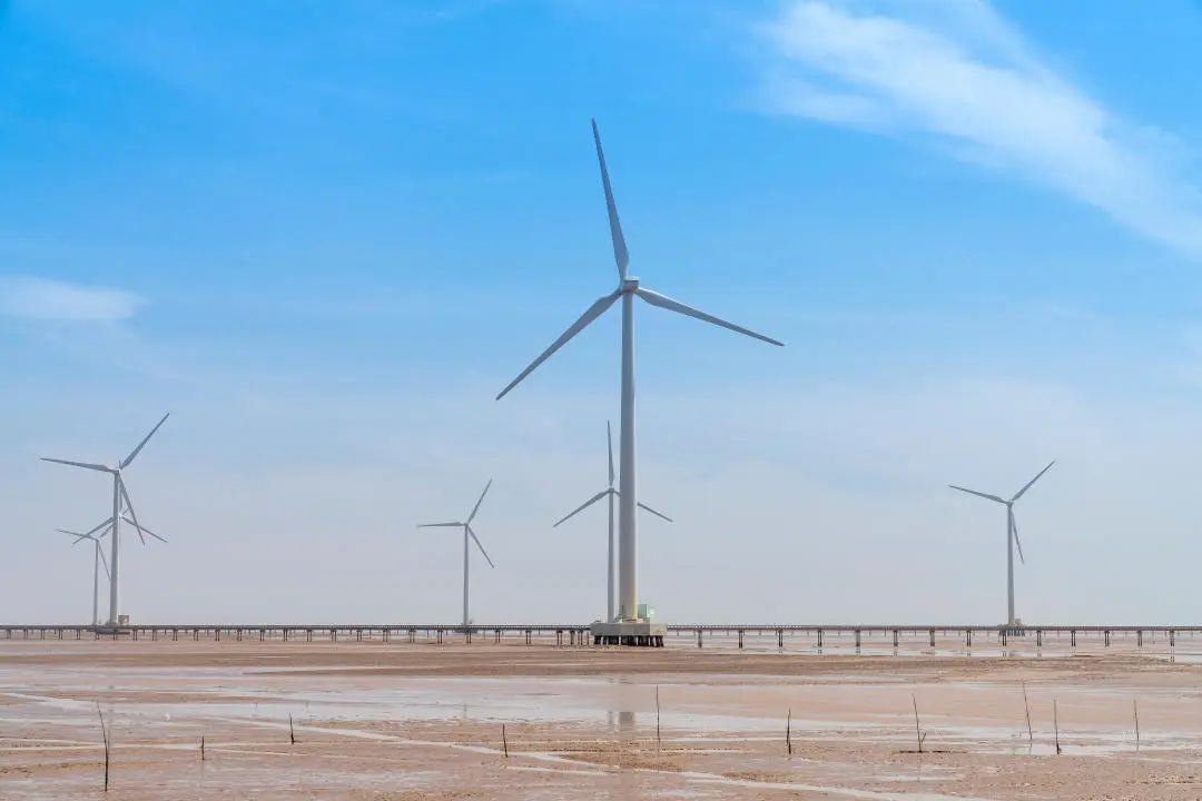 �µ�����(�й�)���޹�˾����