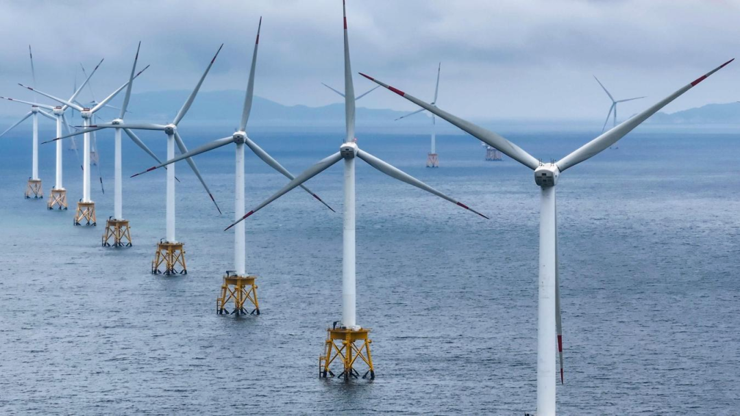 �µ�����(�й�)���޹�˾����