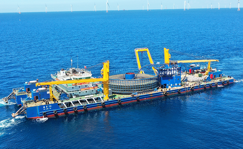 �µ�����(�й�)���޹�˾����