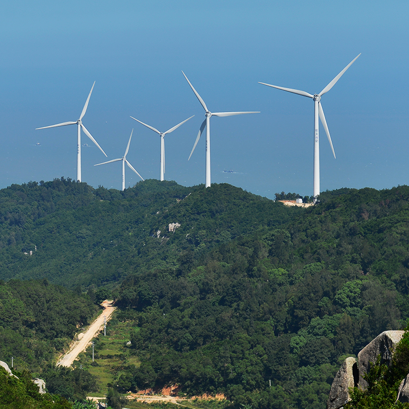 �µ�����(�й�)���޹�˾����