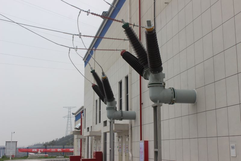 �µ�����(�й�)���޹�˾����