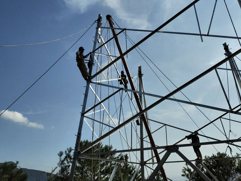 �µ�����(�й�)���޹�˾����