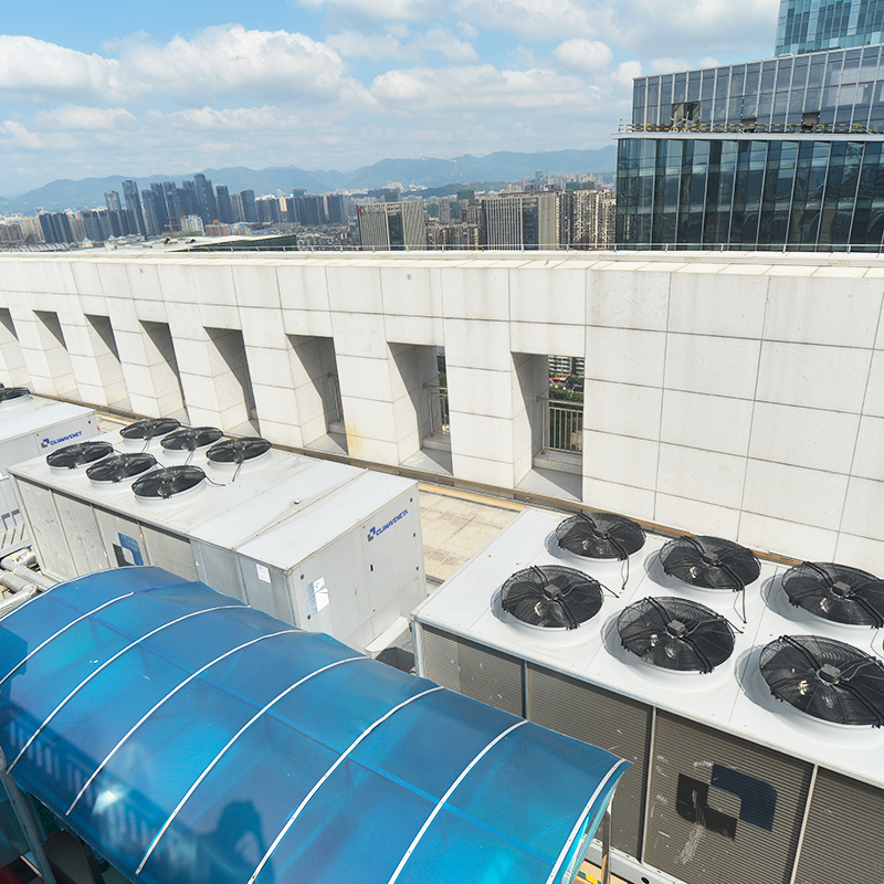 �µ�����(�й�)���޹�˾����