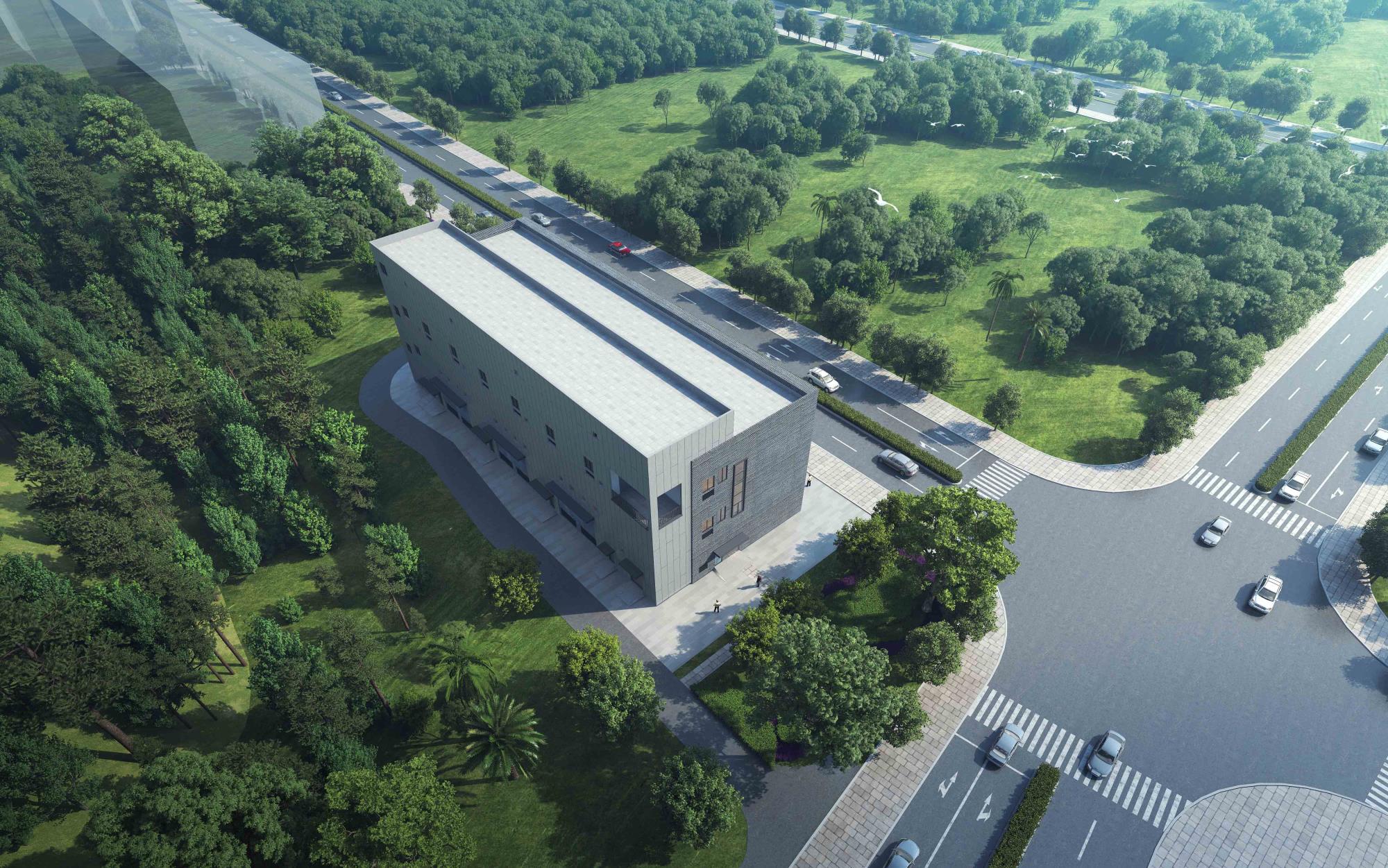 �µ�����(�й�)���޹�˾����